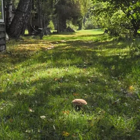 A In An Oasis Of Peace And Quiet بيت للعطل